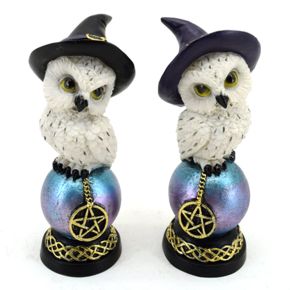 Wise Old Magical Owl Uggla på Skimrande Orb