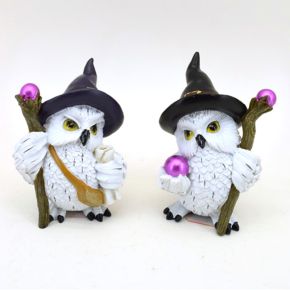 Wise Old Magical Owl Uggla på Magisk Resa