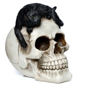 Dödskalle med Svart Katt Ornament