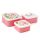 3-Pack Lunchlådor M/L/XL - Julie Dodsworth Pink Botanical