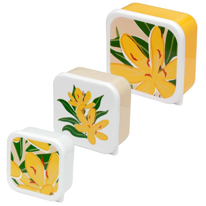 3-Pack Lunchlådor M/L/XL - Florens Hesperantha