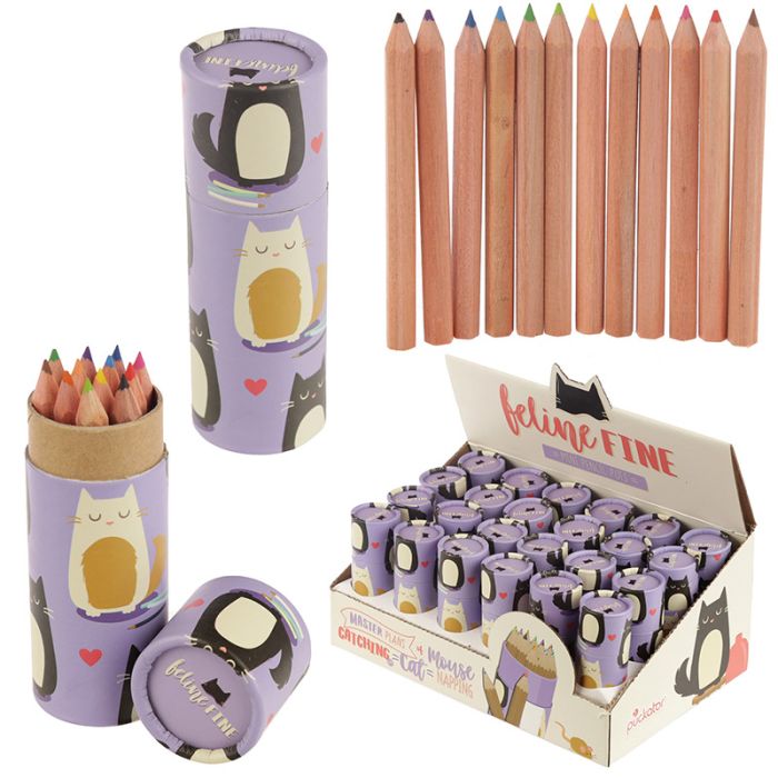 Feline Fine Kattdesign Pennburk med Färgpennor
