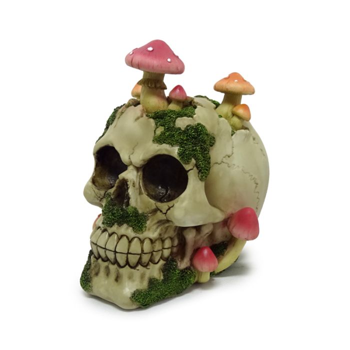 Dödskalle med Svampar & Mossa