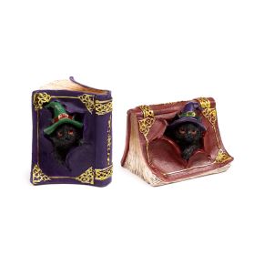 Svart Katt Busig Trollformlersbok