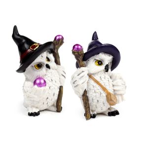 Wise Old Magical Owl Uggla på Magisk Resa