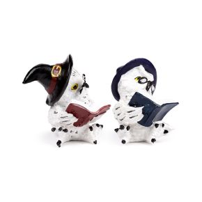 Wise Old Magical Owl Uggla Läser Trollformelsböcker