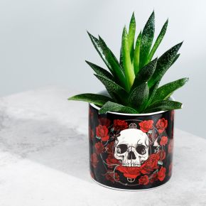 Skulls & Roses Inomhuskruka i Keramik - Liten