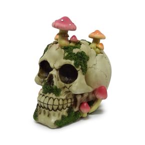Dödskalle med Svampar & Mossa