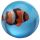 3D Tropisk Fisk Studsboll (Plast Burk)