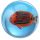 3D Tropisk Fisk Studsboll (Plast Burk)