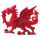 Welsh Drake Magnet