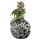 Elements Drake Keltisk LED-Kula