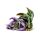 Enchanted Nightmare Drake Drakfamilj