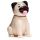 Mopps Mops Solcellsfigur