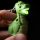 Dinosaurie LED Nyckelring