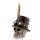 Steampunk Stil Dödskalle med Top Hat och Fjädrar