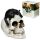 Dödskalle med Svart Katt Ornament