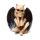 3-Pack The Reaper of Death See No Speak No Hear No Evil Demoner med Vingar