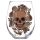 Skulls & Roses 2-Pack Tumblers