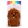 Cavapoo Fluffig Hund Plysch Lavendel Värmepåse