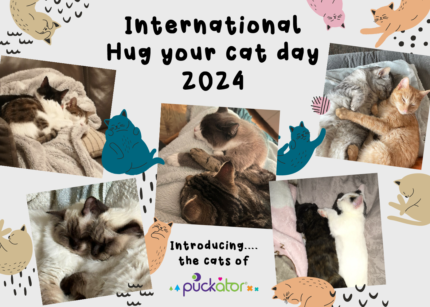 Fira National Hug Your Cat Day med Puckator